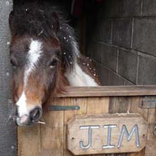 Fishers Mobile Farm - Jim